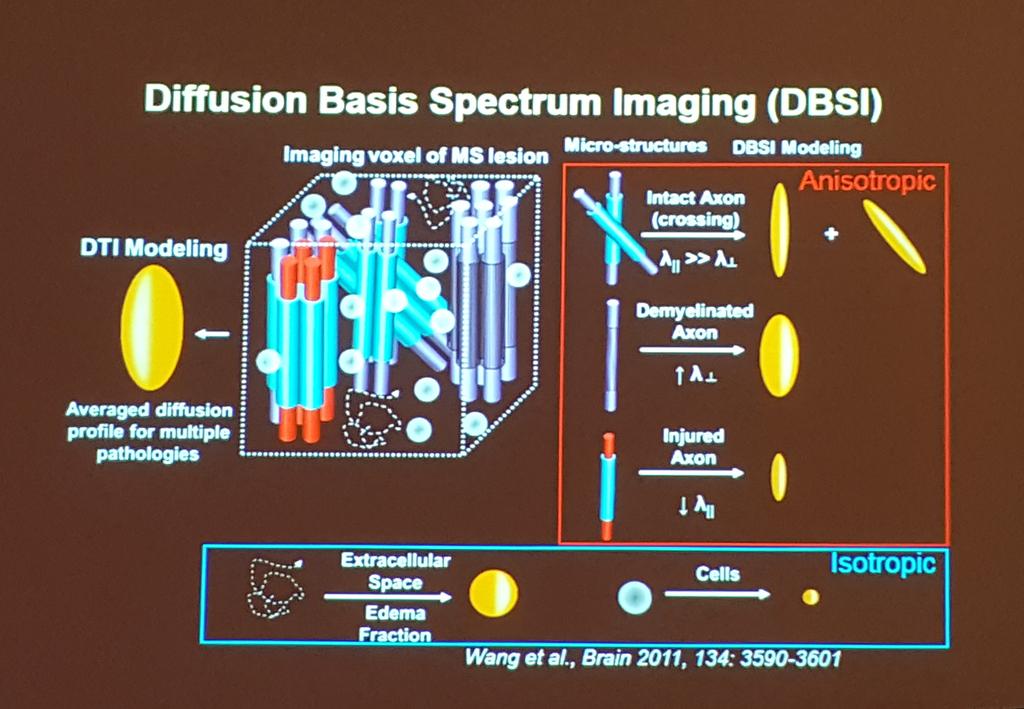 griz1's tweet photo. #DrSKSong shows #DBSI distinguishes axonal changes from #DTI #NNS2016 @Neurotrauma https://t.co/asltBiHcZH