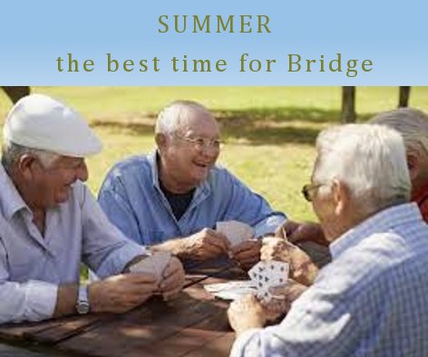 Ultimate Bridge (@ultimate_bridge) / Posts / X