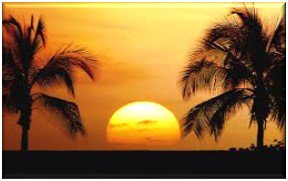 Temple Beth El tweet media