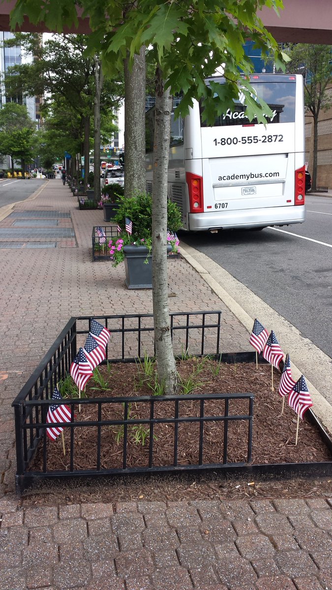 GreatUrbanSpace's tweet photo. Rosslyn is ready for July 4th! https://t.co/SJE7j2702l