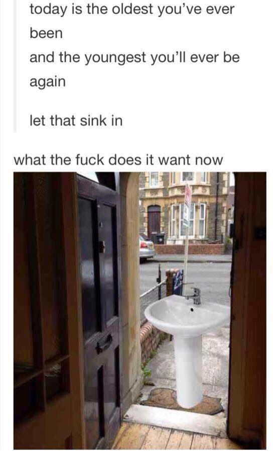 tumblrMemes0's tweet photo. https://t.co/kg99rTG0mJ