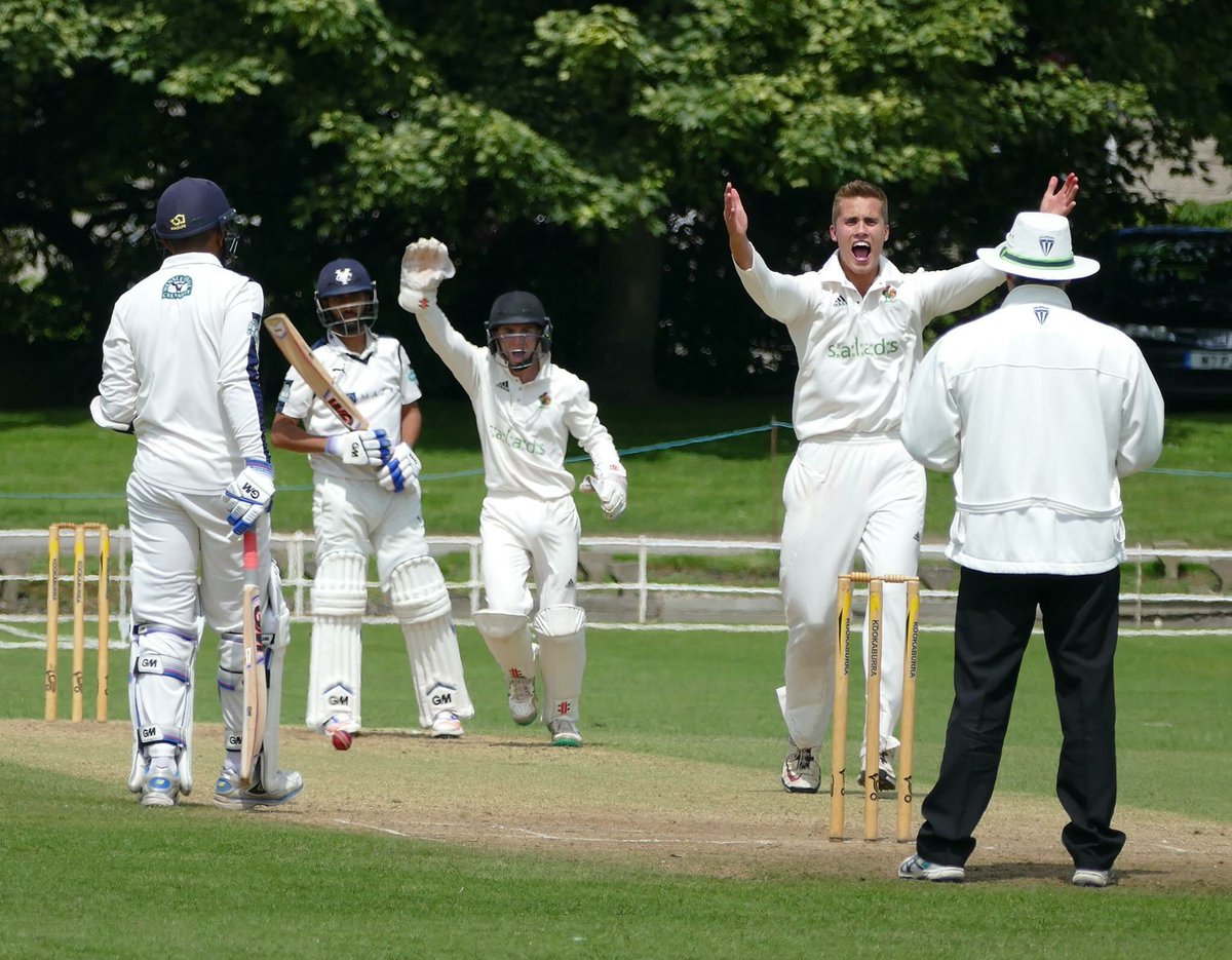 HarrogateCC's tweet photo. One of June's #KeyPlayers @Nick_7Taylor. Rumour listens to @JamesBlunt You're Beautiful on game day unsubstantiated https://t.co/1qCyVnf33f
