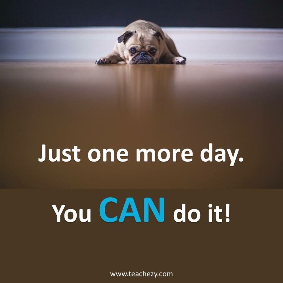 On 6 hours sleep, this is how I'm feeling today! #teachersfollowteachers #teacherlife