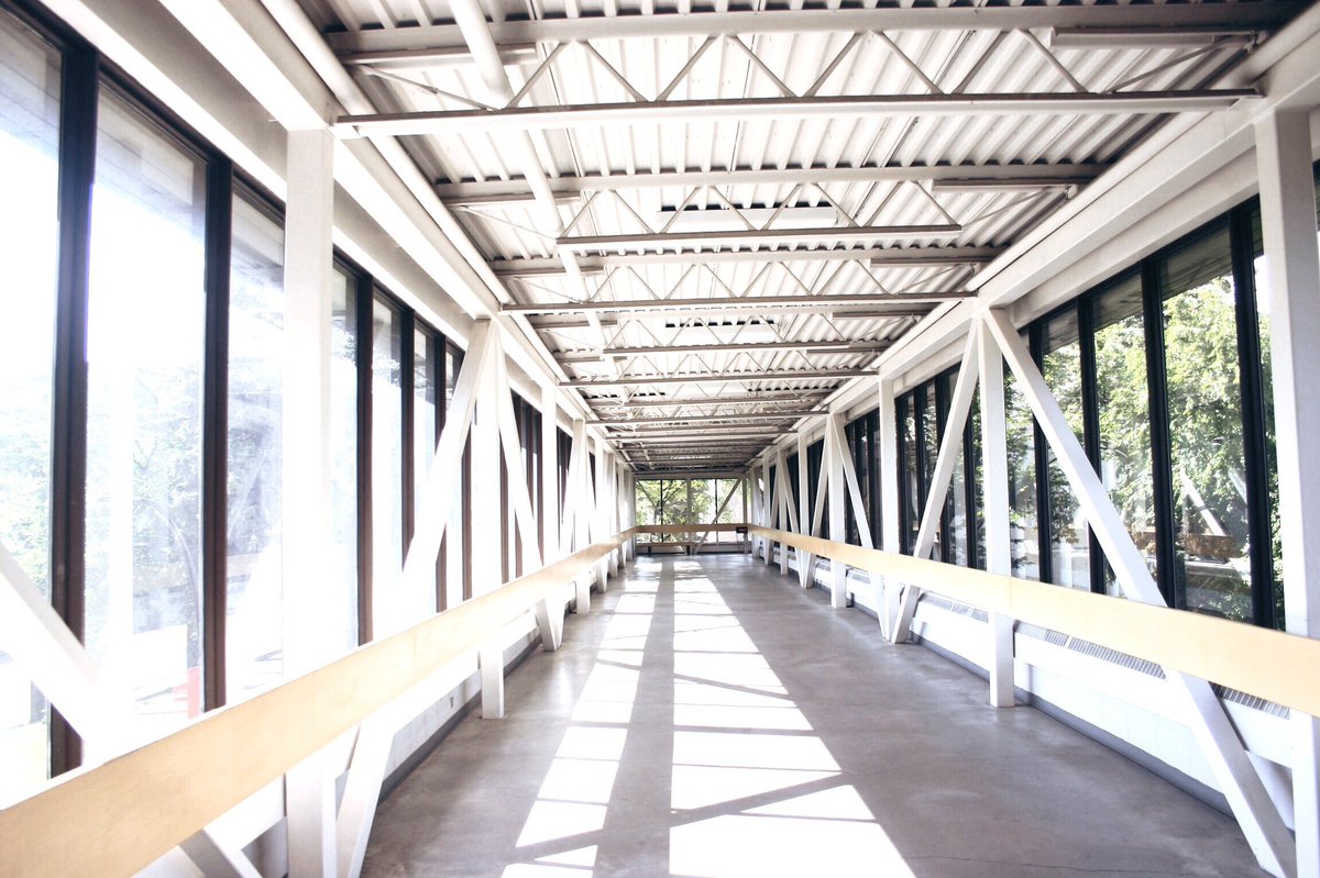 air_canada1's tweet image. Exploring my city with a side of creativity #ArtMajor #YYC