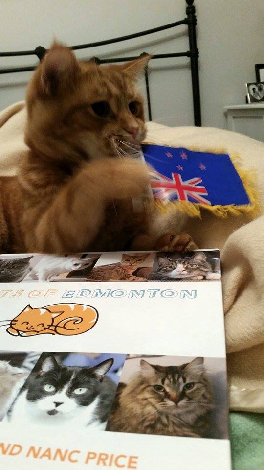 YEGCatFest's tweet photo. Our #CatsofEdmonton book made it all the way to #NewZealand! @Mad_Me #yeg #meow https://t.co/ortyNNhL7q
