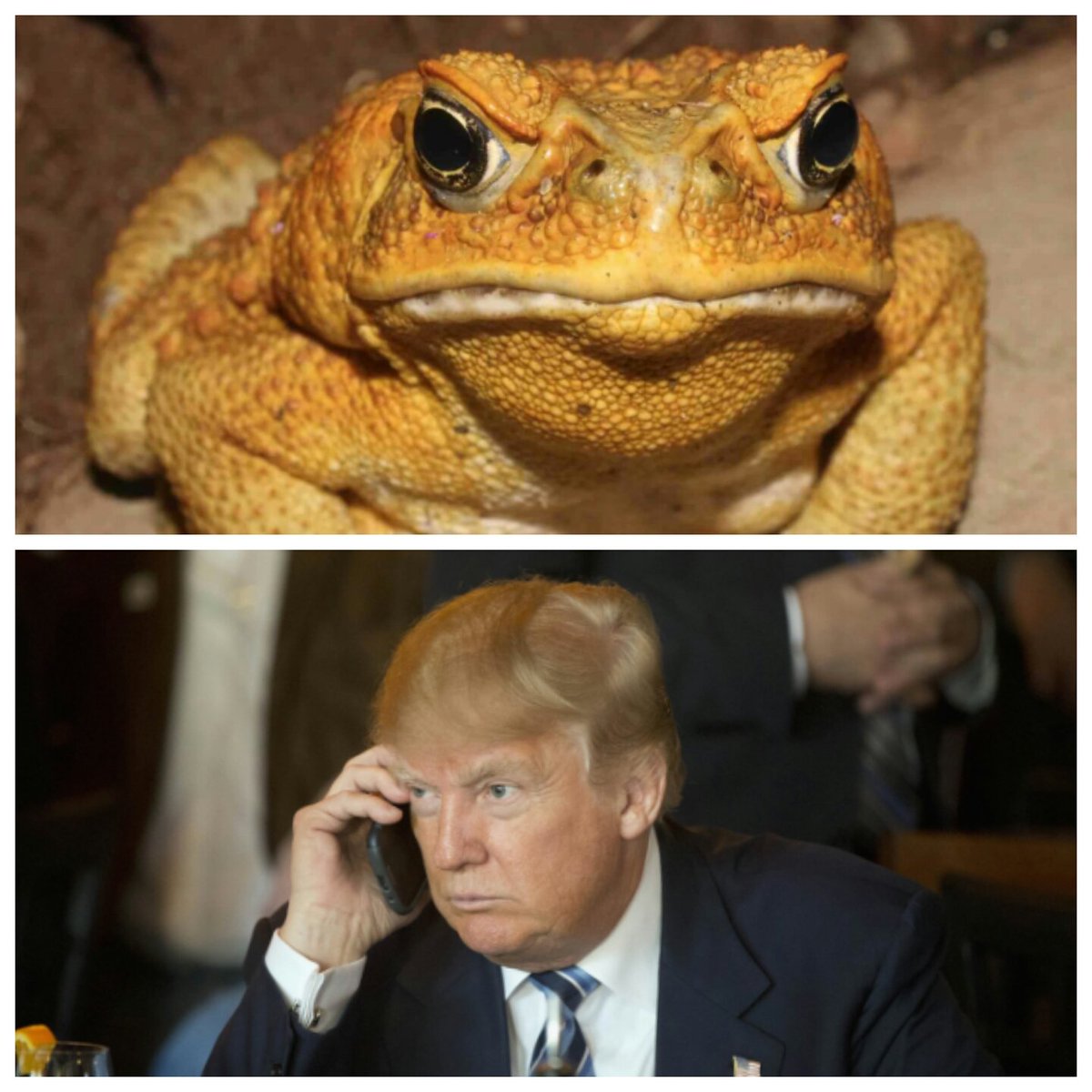 Nat Smith tweet media