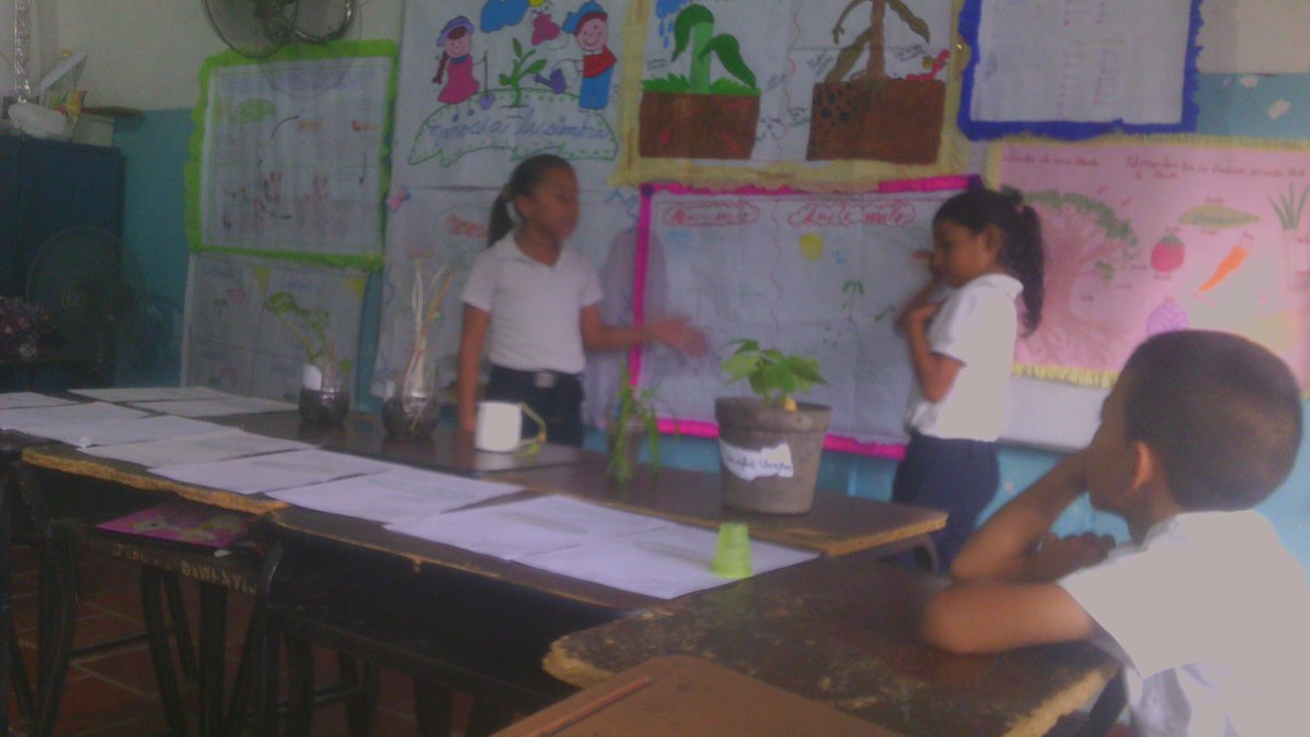 maestro_rodrig's tweet photo. Cierre de proyecto sobre manos a la siembra estudiantes de 3 grado https://t.co/QO0FuC3Obq