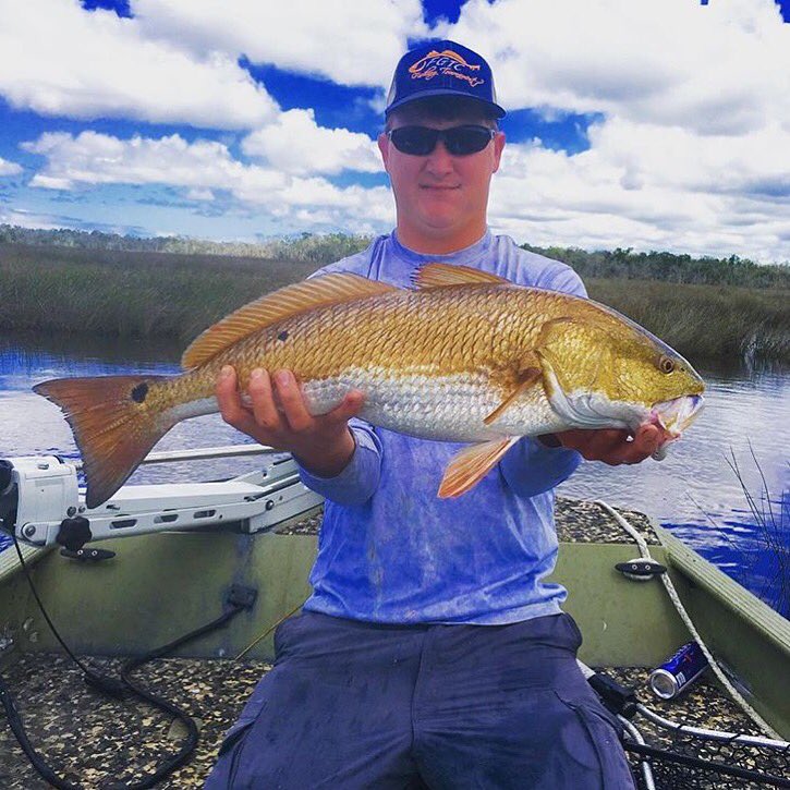 Member Salt Grass Charters and <a href="/treymikell30/">TREY MIKELL</a> with another solid #redfish from #cedarkey #florida- #outdoorguidepros