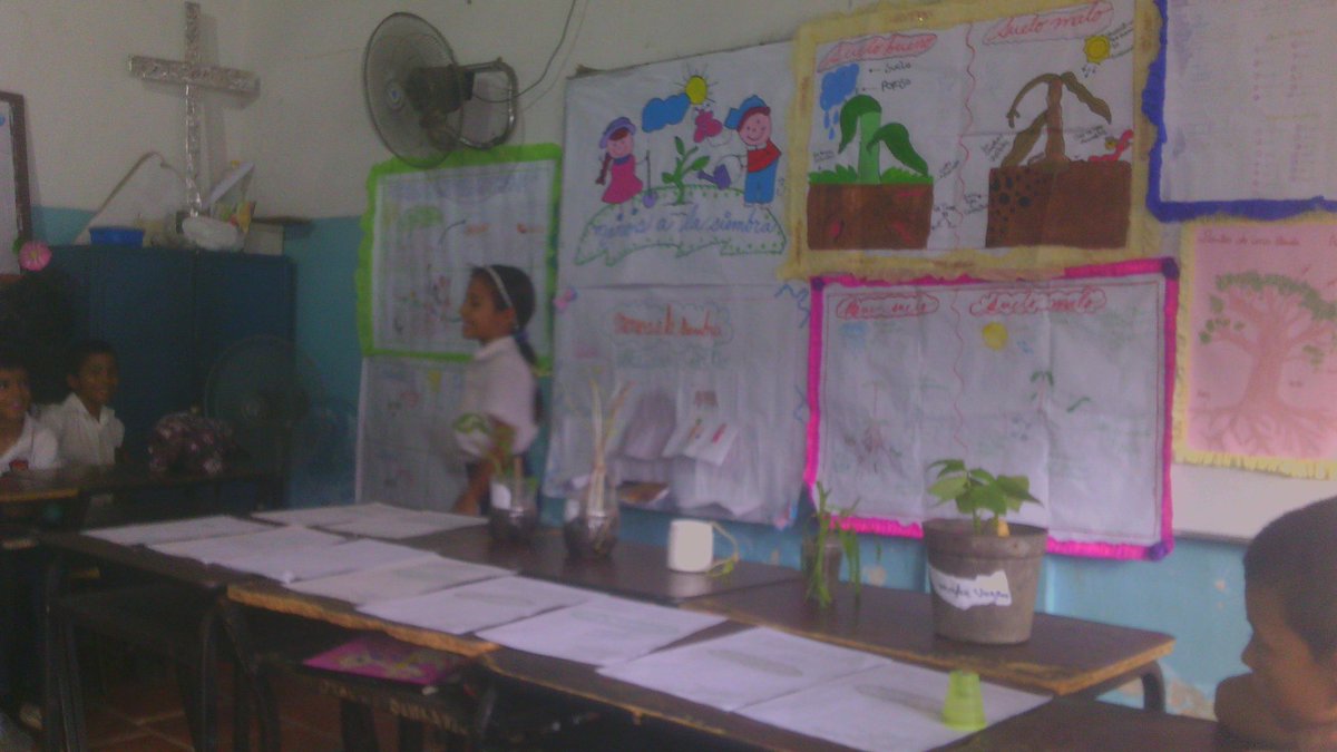 maestro_rodrig's tweet photo. Cierre de proyecto sobre manos a la siembra estudiantes de 3 grado https://t.co/QO0FuC3Obq