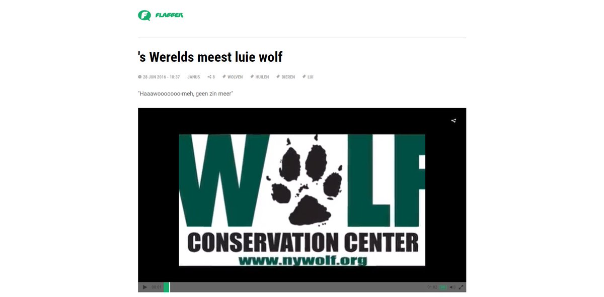 stopfreebooting's tweet photo. On 6/28, Flabber freebooted a video from @nywolforg #freebooting- info: https://t.co/Ah8KrKOYK9
 -RT! https://t.co/TleylWPmKM