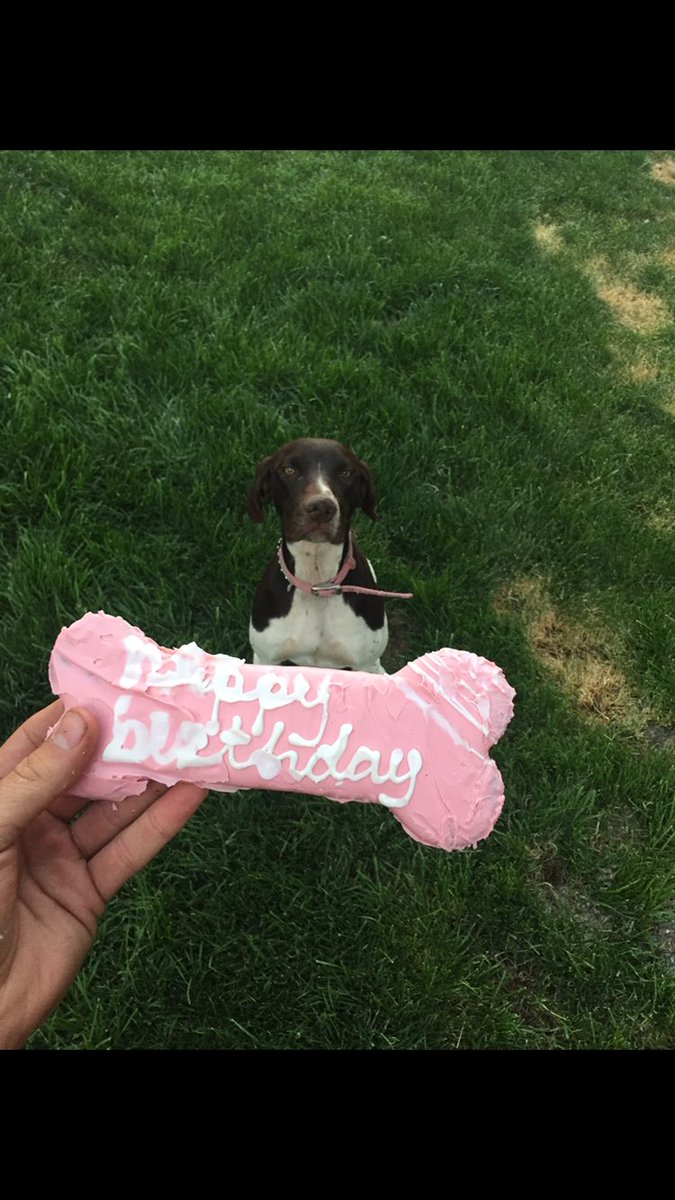 ColtHess13's tweet photo. Sitka turned 1 today. Pretty proud father I am🐶🏡💙 https://t.co/iRphx3pRcQ