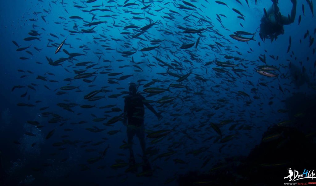 Chill & Wander tweet media