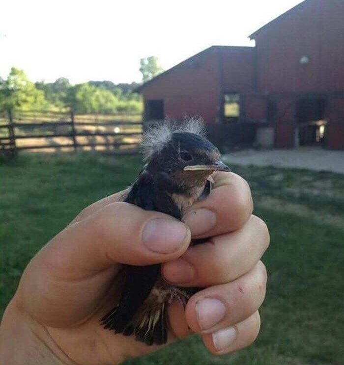 SethBrundle2's tweet photo. ill call him berdie sanders https://t.co/yEJ7uMiE6Y