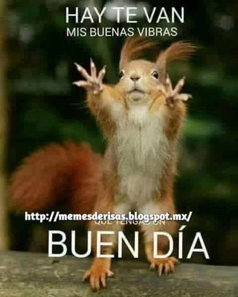09_gonzo's tweet photo. @_PonchoDeNigris  puro poncho poder https://t.co/3M1BWwu30j