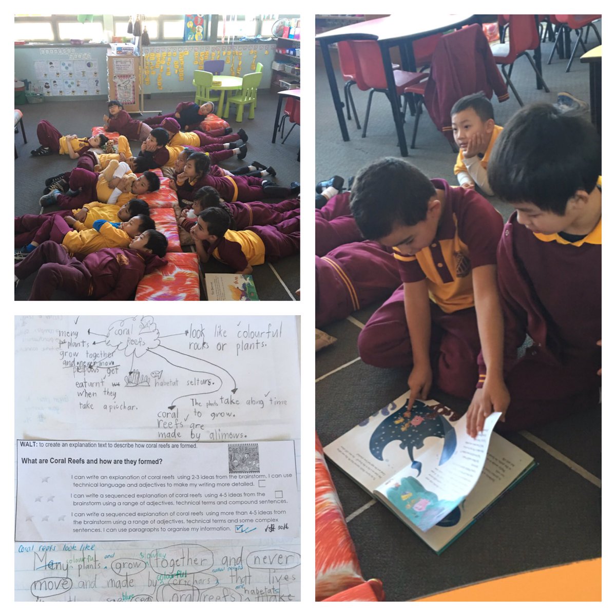 j_to88's tweet photo. Connecting our learning through #L3Stage1 writing, reading and multimodal texts #CoralReefs #EndOfTerm2 @LansvalePS https://t.co/rLM41WRtnA