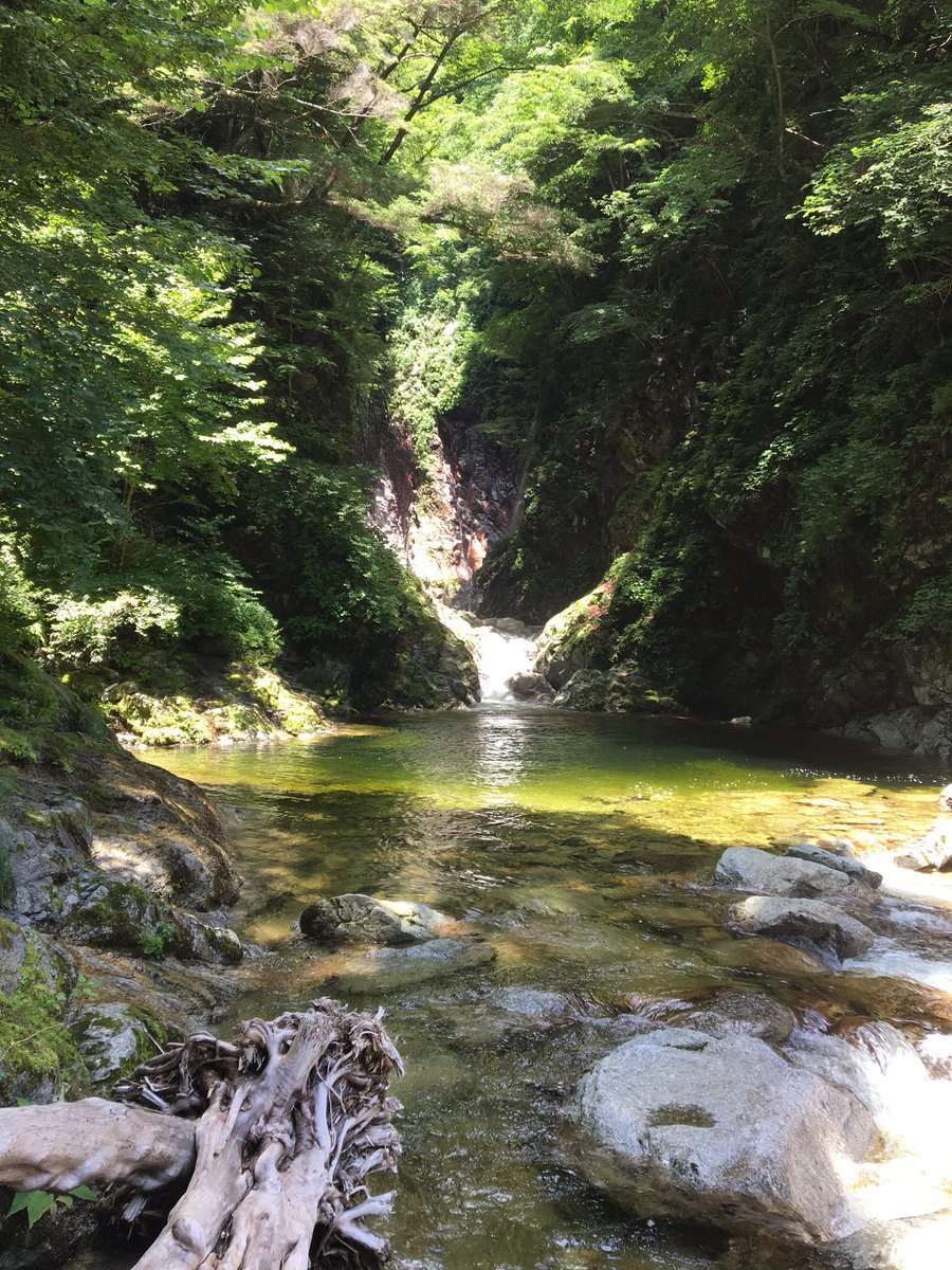 金精軒 天気が良かったので店の近くにある川でおやつを食べました 金精軒 天気が良かったので店の近くにある川でおやつを食べました