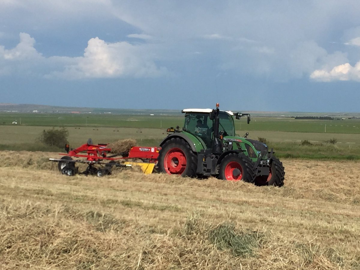 abtsch's tweet photo. Baling export Timothy for the Japanese. #bale16 https://t.co/aipK4Ycuev