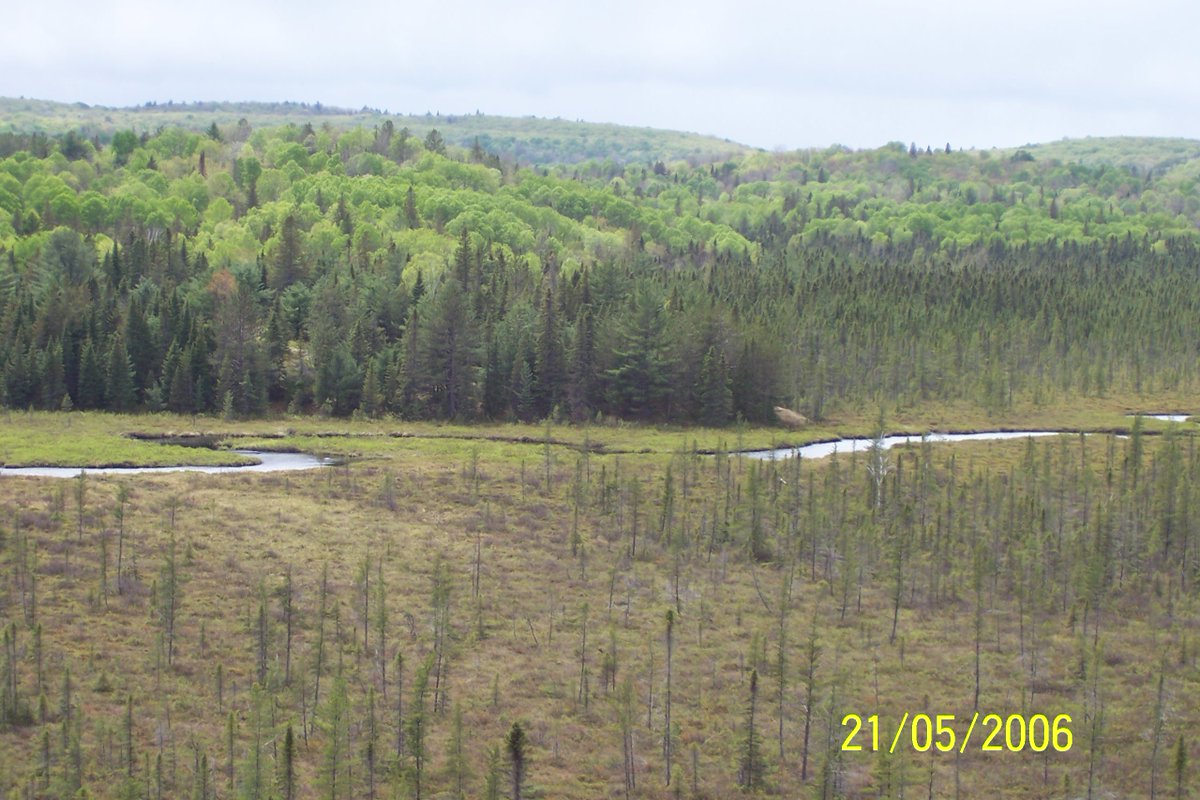 BonnieLidstone's tweet photo. #AlgonquinParcPics https://t.co/HMBeDnZMWL