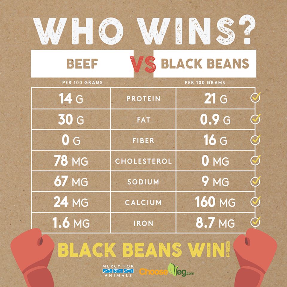 Mean Vegan Products (MeanVeganKC) Twitter