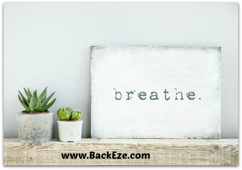 BackEze tweet picture