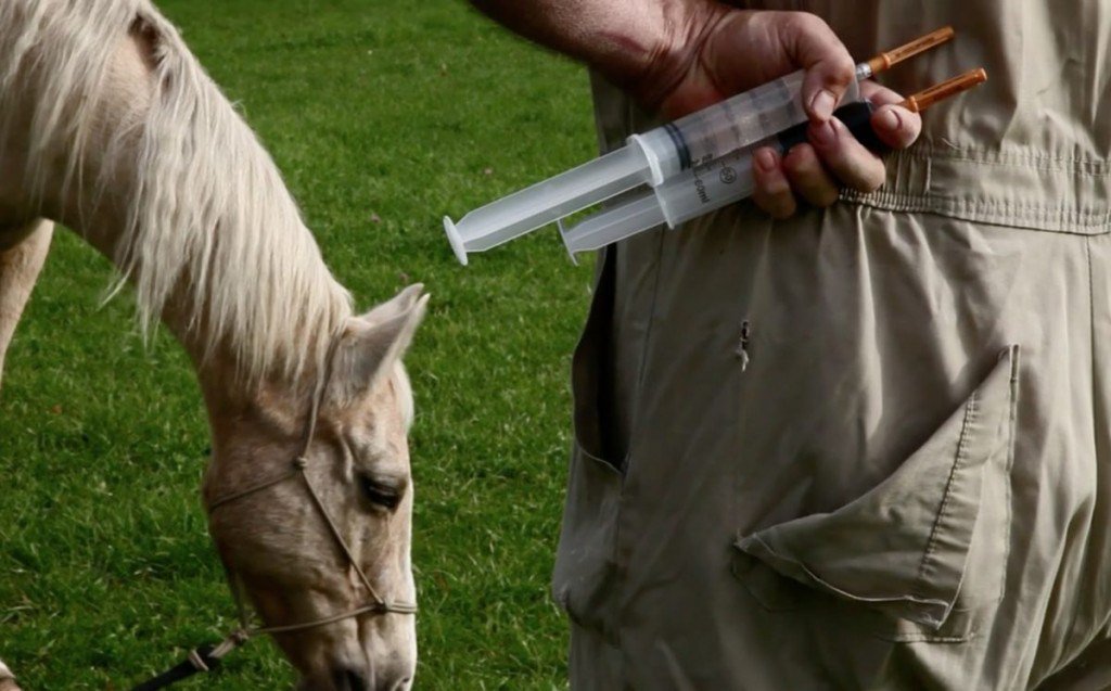 CVEWC's tweet photo. Clinical Crisis: Why Are So Many Veterinarians Committing Suicide? https://t.co/VJgSVjvINb https://t.co/pdWt8pj8P5