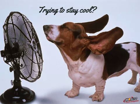 mcfadden_long's tweet image. Feel me since 14 true story