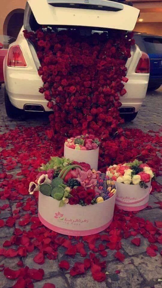 ررررررررررايق وجنتل (@amassi83521010) on Twitter photo 