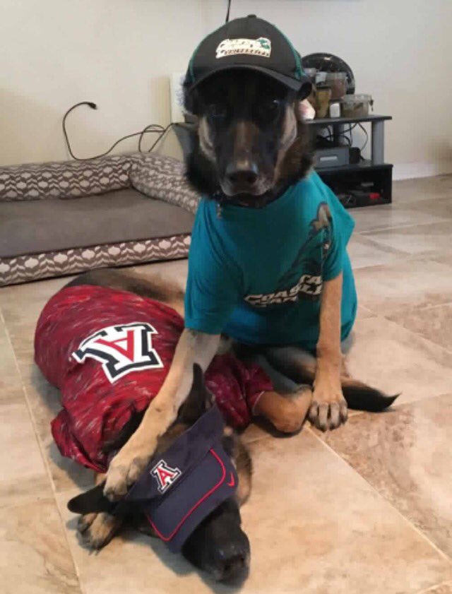 Coastal Carolina University tweet media