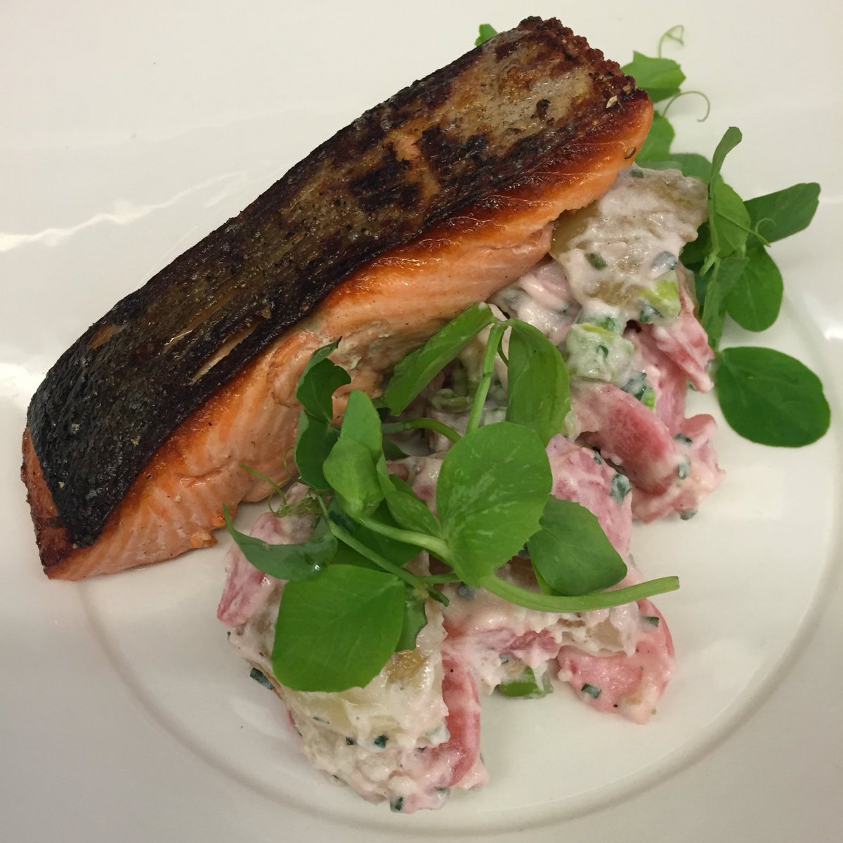 matthewforage's tweet photo. Kick off your long weekend @foragevancouver with smoked seared spring salmon &amp; pickled radish potato salad! https://t.co/ayOud7o2jz