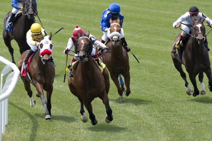WoodbineTB's tweet photo. Get ready! Sunday's #QP16 race card kicks off at 12pm with a #EuroTurf Series race. Gates open 10am! Don't miss it! https://t.co/MBwa8Xpxbl