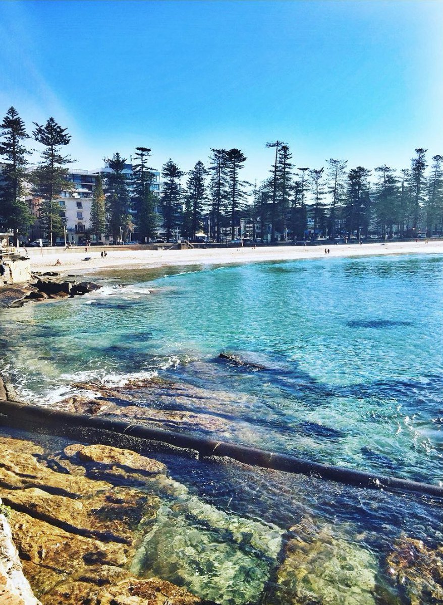 sydney_sider's tweet photo. Shelly Beach in Sydney’s North is a sheltered area perfect for BBQs and picnics. #ilovesydney
📷josvimantilla (IG) https://t.co/UYPJIrmhBh