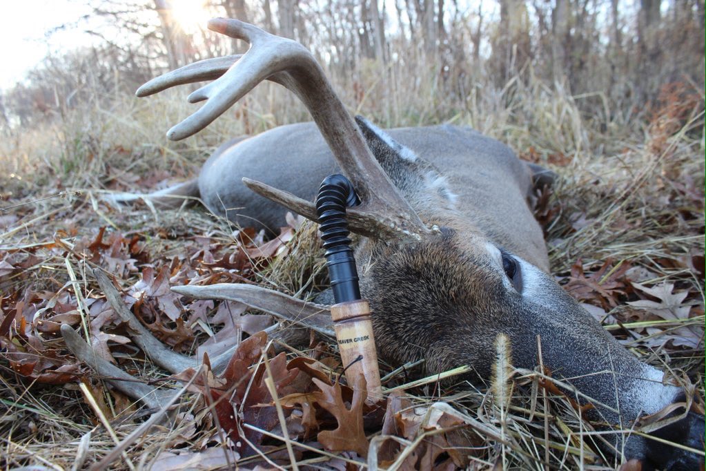 BeavrCreekCalls's tweet photo. Is it deer season yet?!?! https://t.co/kvHO3mKbOH
