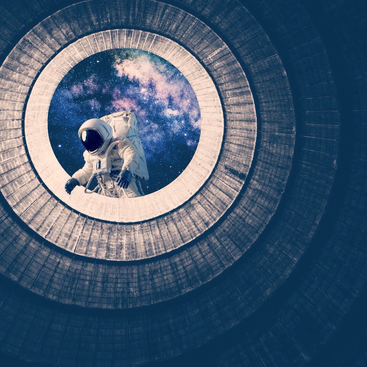hippopics's tweet photo. 🔹hippo collab feature🔹edit by Sahim Dabir, photo by @barctic78 https://t.co/MPnMdyp1t1