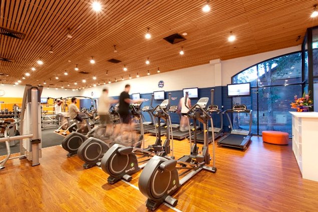 plusfitness's tweet photo. Looking to get into the fitness industry? Plus Fitness can help!!! #excerciseyourfreedom https://t.co/HTvk6itet2 https://t.co/exmyrYfKxV