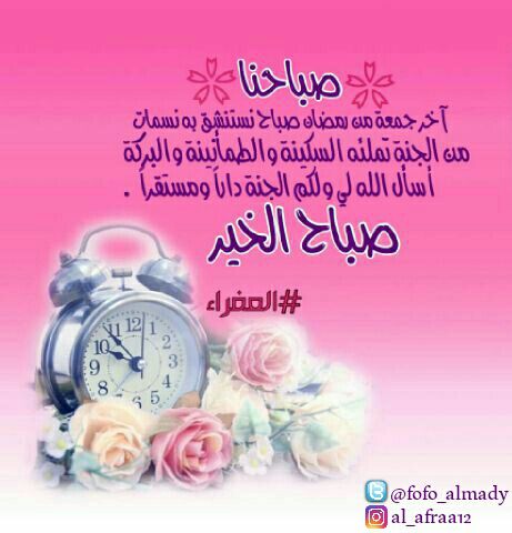 fofo_almady's tweet photo. #صباح_الخير ..🌹
#العفراء https://t.co/Lk3ooam2nd