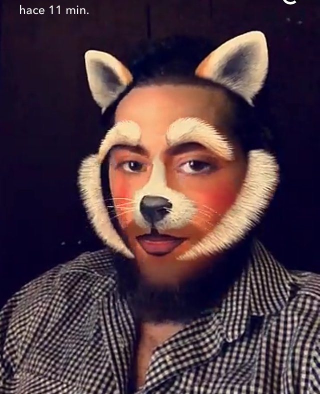 Maydaytita's tweet photo. Amo los snaps de este cabrón #CheArthur 😂❤️ https://t.co/V30Lec3ZEA