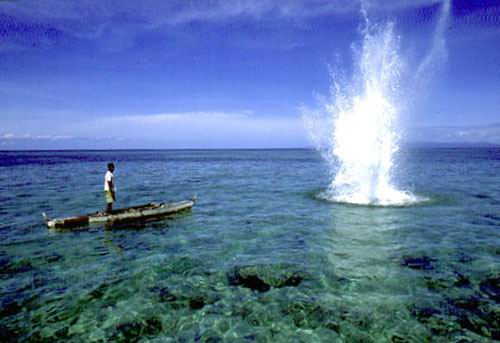 Penggunaan kalium Nitrat pada bahan peledak akan membunuh ikan dan merusak karang di sekitarnya.