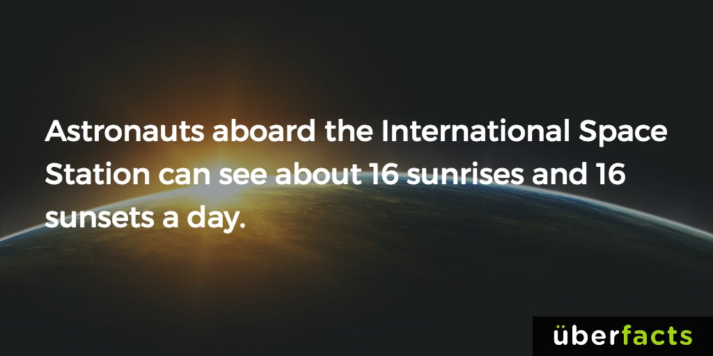 UberFacts's tweet photo. https://t.co/o7MiFpPuou