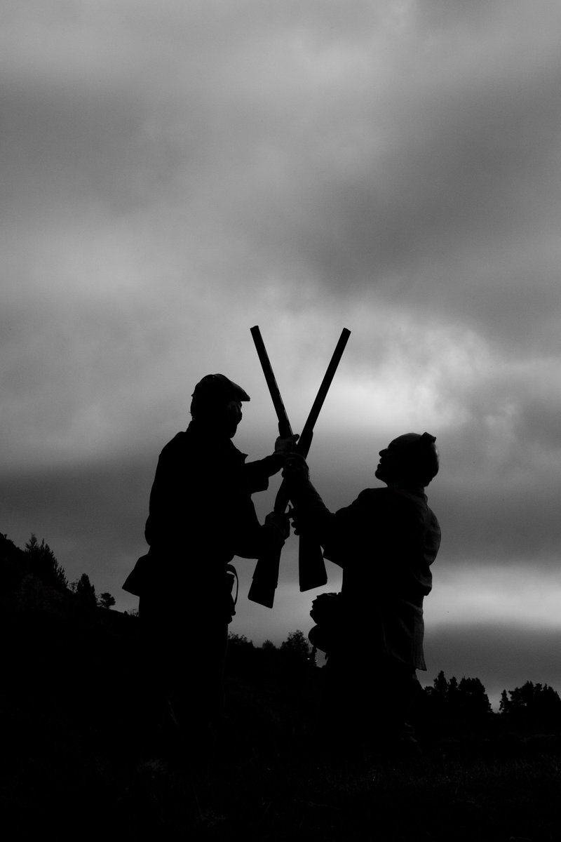 Charlie Sainsbury-Plaice sent this photo of a previous #driven #game #shoot - Send us your #photos to feature too!