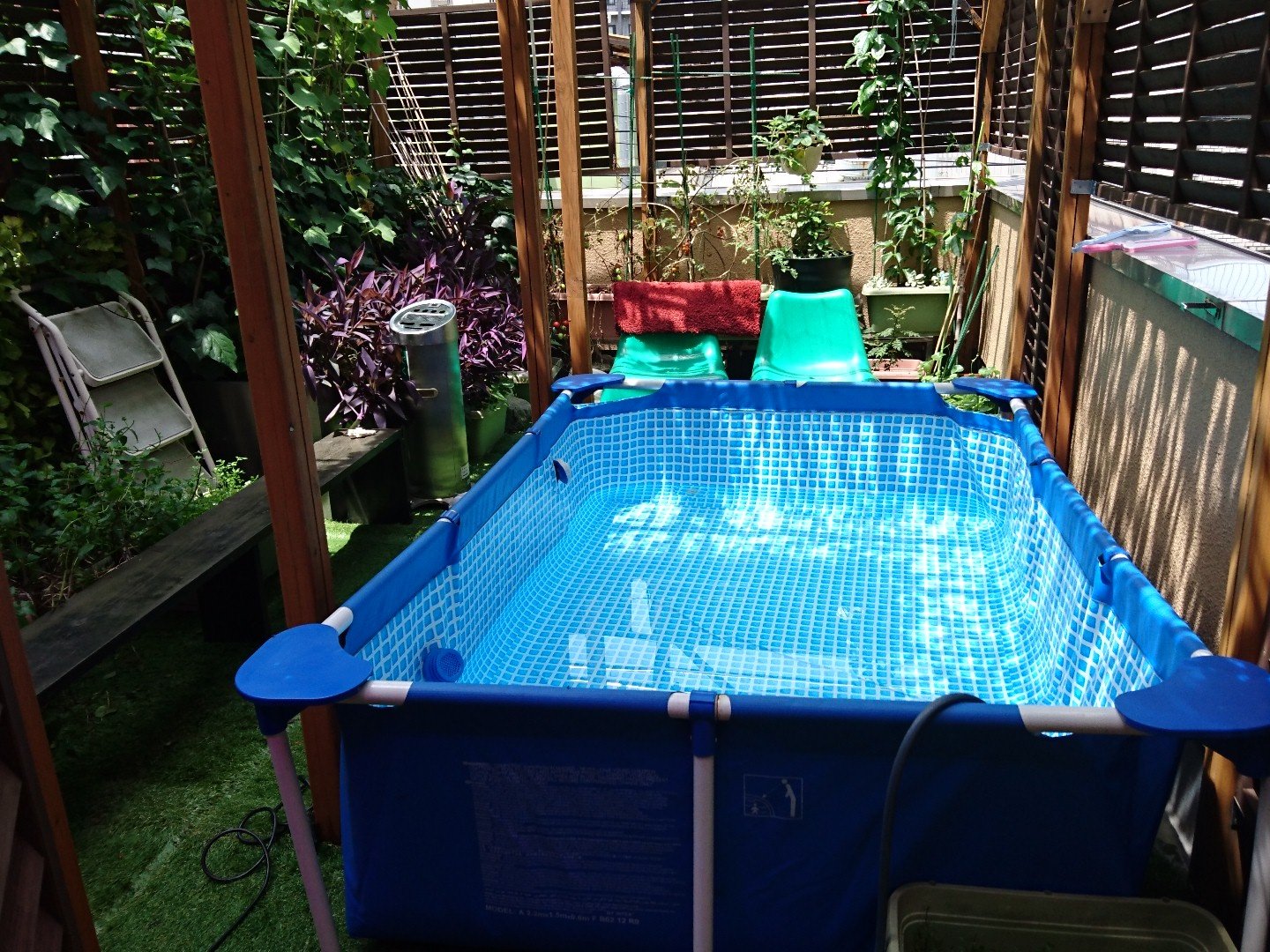 Twitter पर 雑魚坐 今日から屋上プールだよ パッションフルーツもこんなに大きくなりました まだまだ熟すのは先だけど 地植より水耕栽培のほうが三倍くらい成長早い