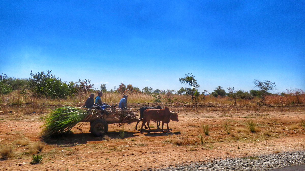 KayleeFeesh's tweet photo. Riding in style @PutFootRally in Zambia #Africa #Zambia #travel https://t.co/3Z0A21cyvD