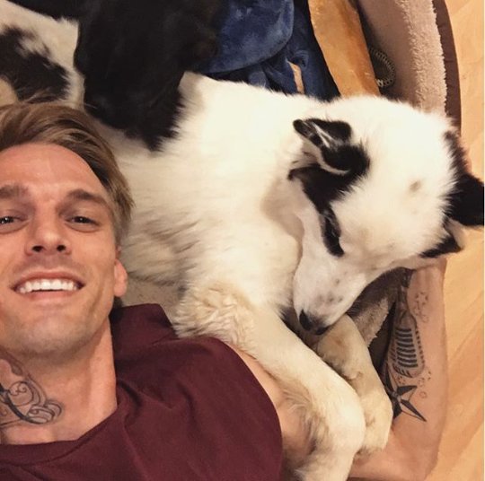AaronCaUpDates's tweet photo. I love you when you take pictures with puppies @aaroncarter 
🐶🐶🐶🐶🐶 https://t.co/1mGonEyfLf