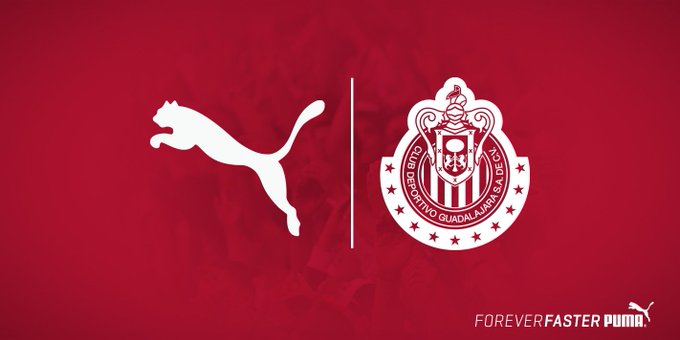 Ver imagen en Twitter