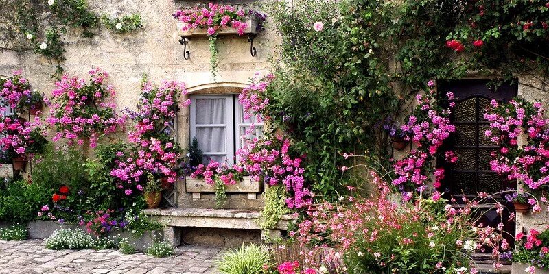 Una casa con tanti fiori🌼 
dà gioia a chi ci abita🍃 
e il benvenuto a chi arriva🌸