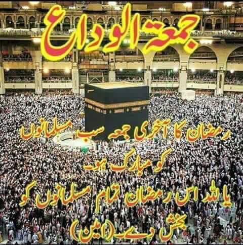 mna_warraich's tweet photo. https://t.co/KMPnjHC1ot