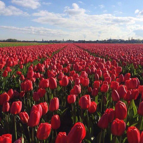 Kadir Geceniz Kutlu, Cumanız Mübarek olsun. Şehitlere rahmet, sebep olanlara lanet olsun...