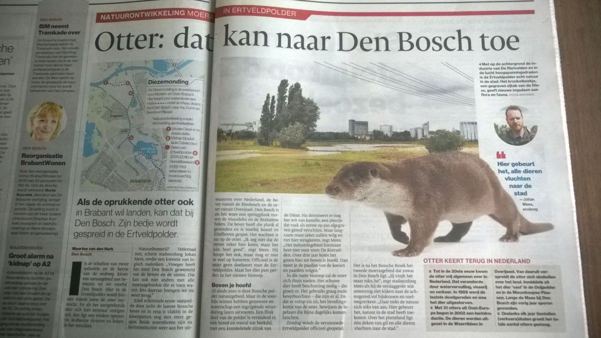 Mooi artikel in BD over #Ertveldpolder #DenBosch. Na jarenlange inspanning stadsecoloog <a href="/JohanMees/">Johan Mees</a> nu resultaat.