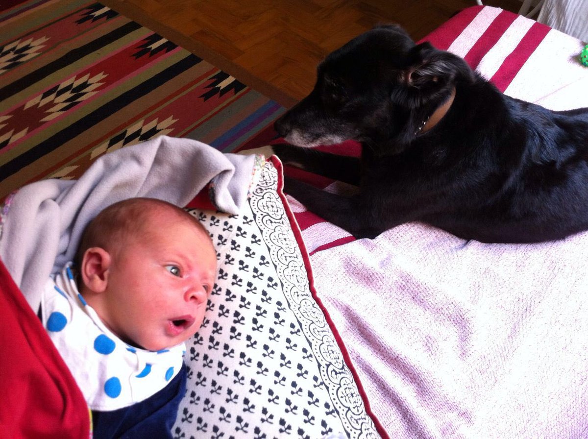 Pets and Babies! #petfriendlyct enjoy your #friday