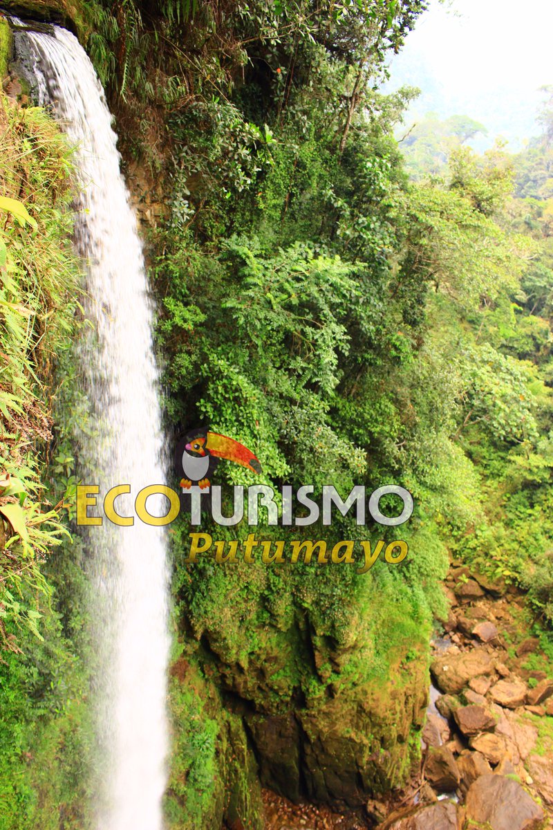 ecoturismoputum's tweet photo. @VoyageColombia Cascadas fin del mundo Mocoa Putumayo, destino magico los esperamos https://t.co/zUQAn7gELa https://t.co/rt5x63hKUN