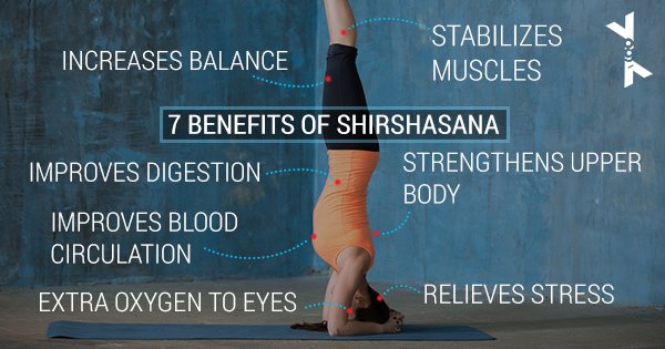 We share with you the 7 perfect reasons to practice Shirshasana everyday. bit.ly/29arodi
 #YogaBenefits